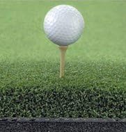 The Original Country Club Elite by Real Feel Golf Mats 20”X36” Twin Combo - Image 7