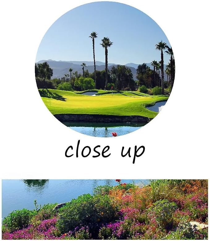 chenchenArt Indian Wells Golf Course Wall Art Picture Golf Course Poster Wall - Image 8