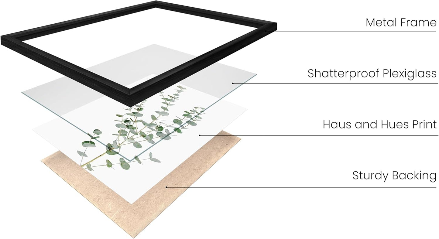 HAUS AND HUES Botanical Prints - Set of 4 Plant Pictures Wall Art - Eucalyptus Wall Decor - Black Aluminum Frame, 11x14