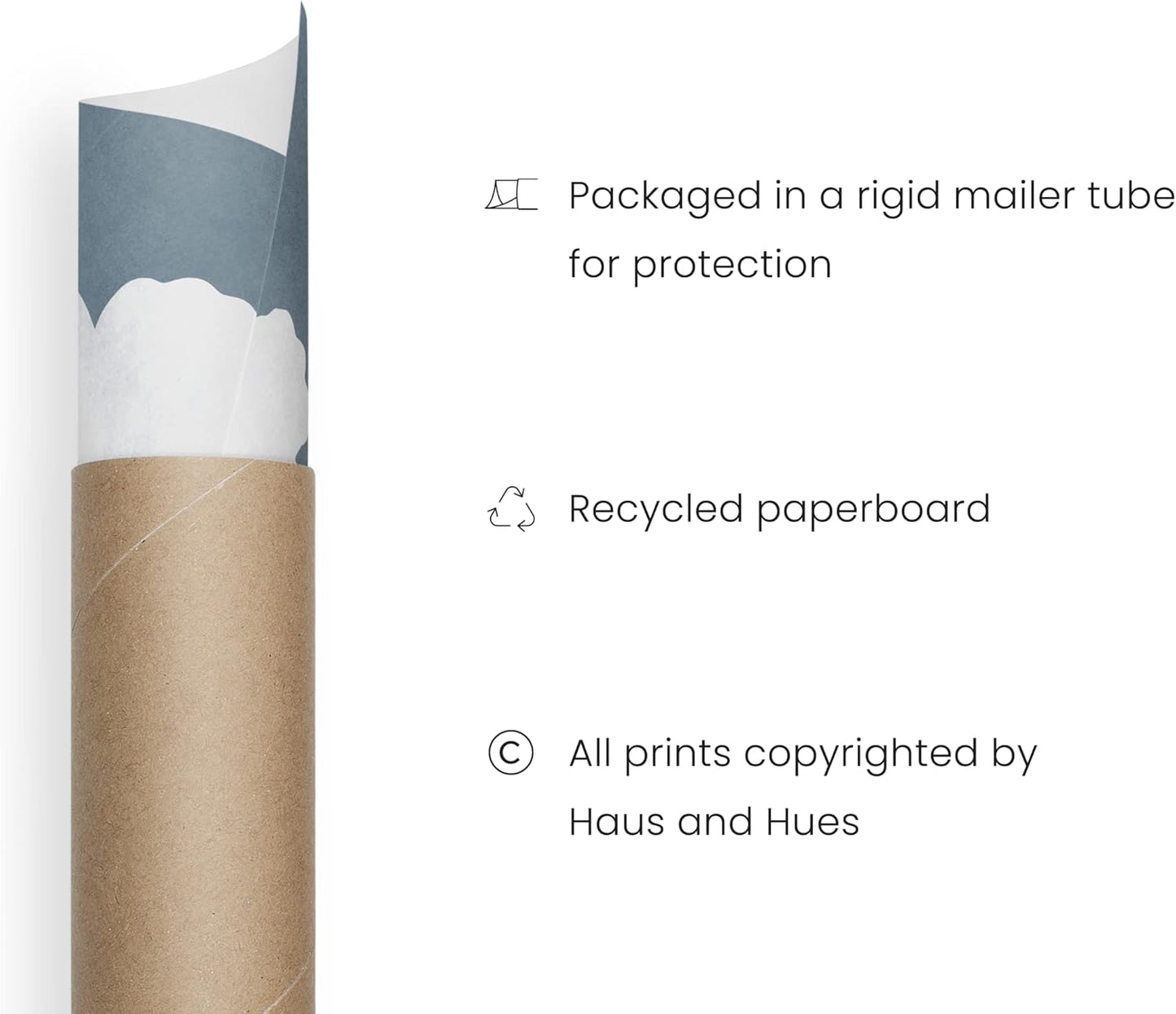 HAUS AND HUES Floral Wall Art - Set of 4 Plant Posters for Wall Vintage Botanical Prints, Flower Pictures for Room Aesthetic Vintage Art Prints Flower Wall Art (16x20, Unframed)