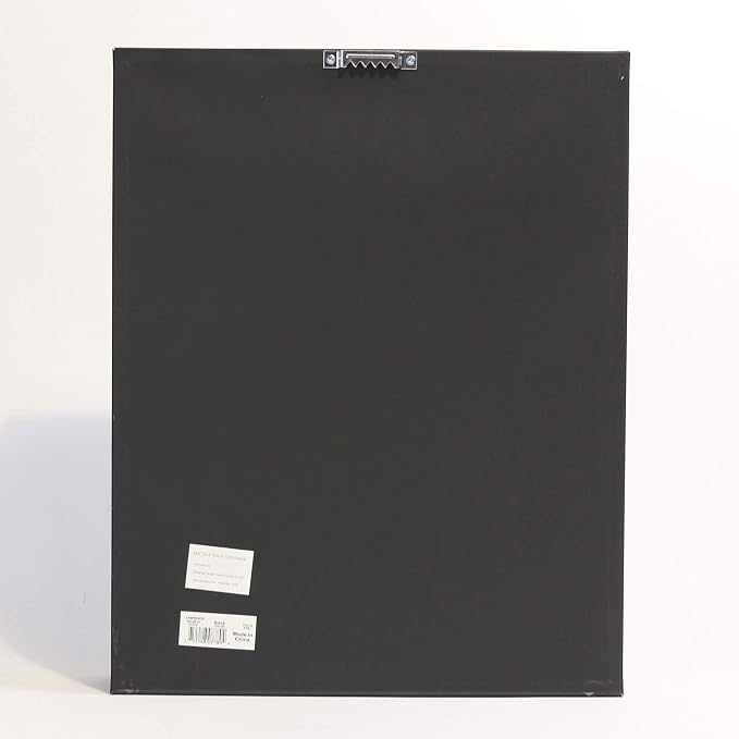 Lawrence Frames 531011 11x14 Golf Display Case-Holds 25 Logo Balls Shadow Box - Image 5