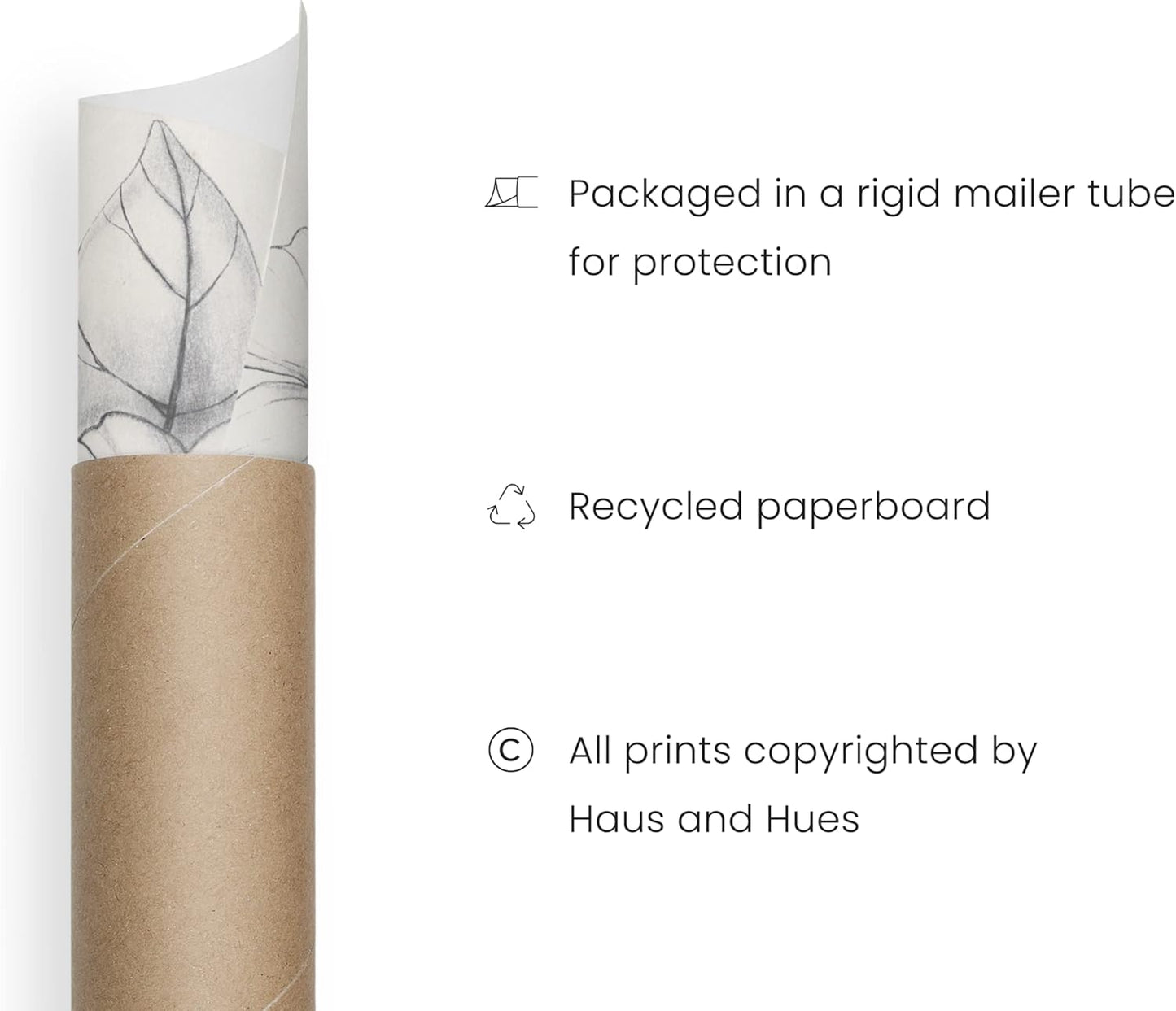 HAUS AND HUES Grey Floral Wall Art - Set of 4 Plant Posters for Wall Vintage, Botanical Prints, Black and White Flower Pictures for Room Aesthetic, Farmhouse Bathroom, Rustic Art (16x20, Unframed)