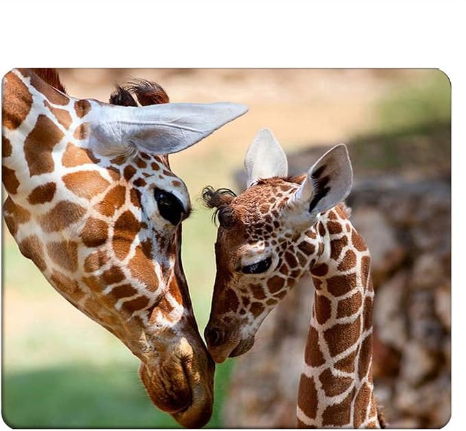 Giraffe Rectangle Gaming Mousepad Lovely Giraffe Mom and Baby Mouse Pad Mouse by Nicokee
