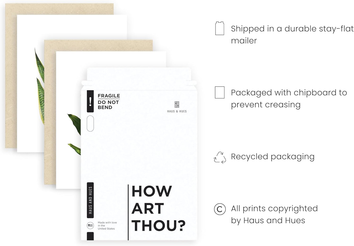 HAUS AND HUES Plant Photo Set of 4-11x14