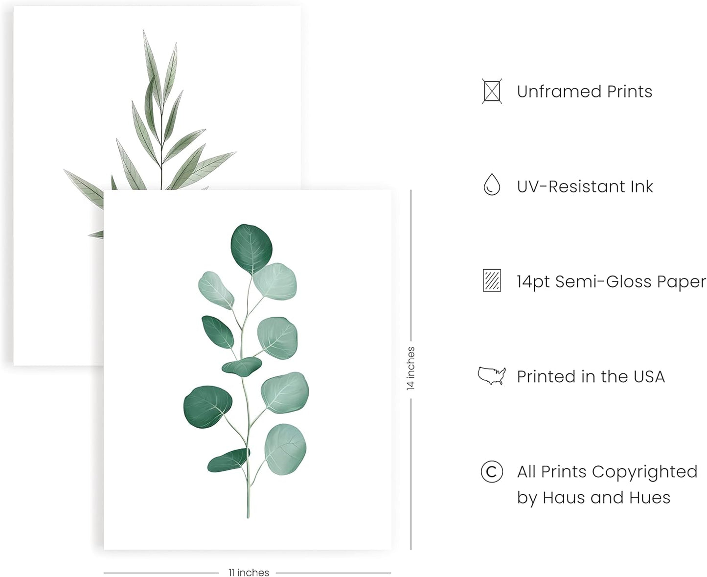 HAUS AND HUES Plant Wall Art - Botanical Prints, Green Wall Art Collection Set, Plant Pictures, Leaves Paintings (11x14, UNFRAMED)