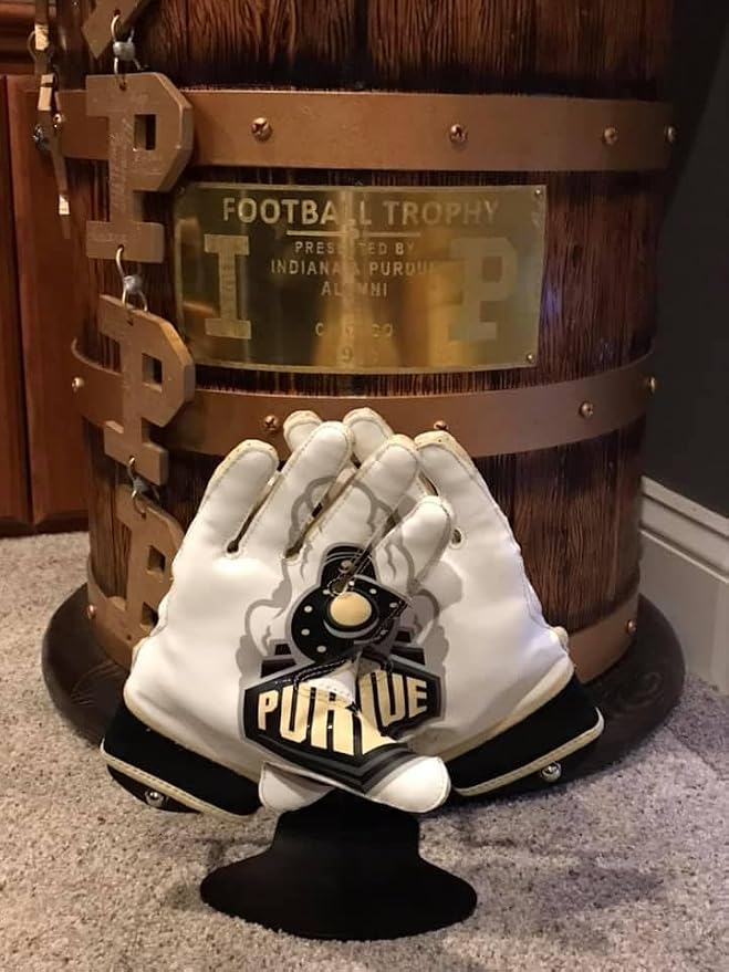 Collectible Glove Display - Image 7