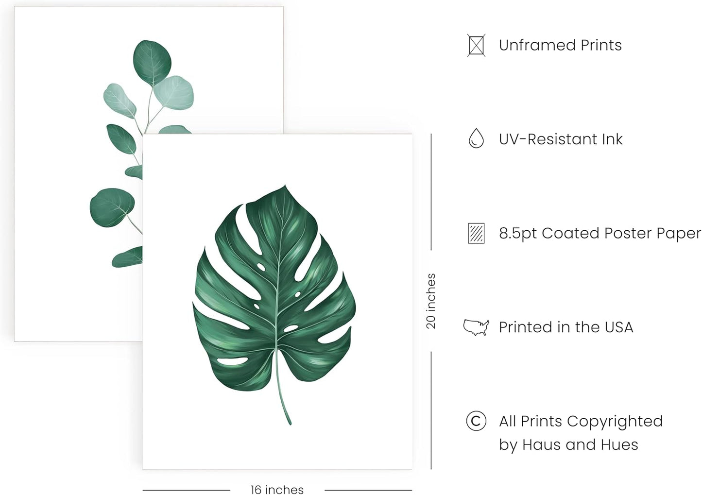 HAUS AND HUES Green Plant Art Print Set of 4-16x20