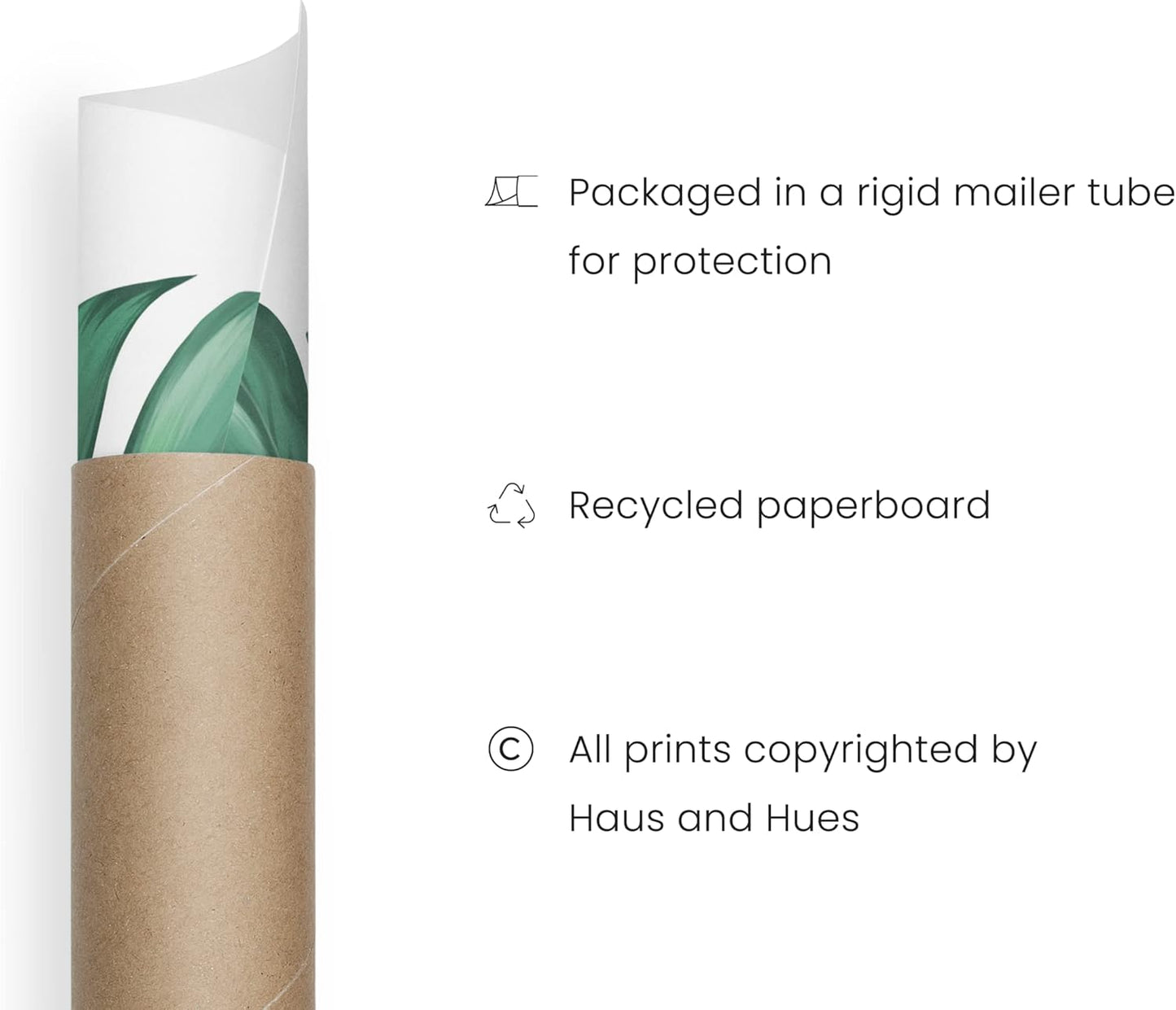 HAUS AND HUES Green Plant Art Print Set of 4-16x20