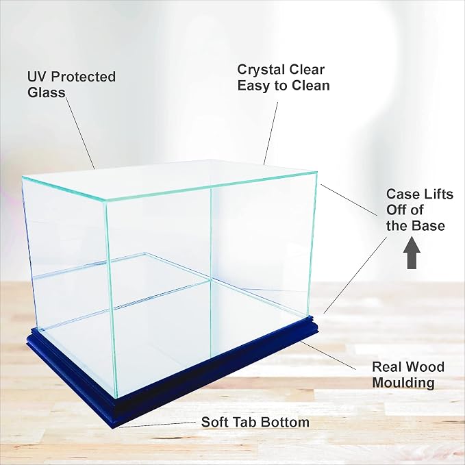 Golf Ball Display Case - Image 4