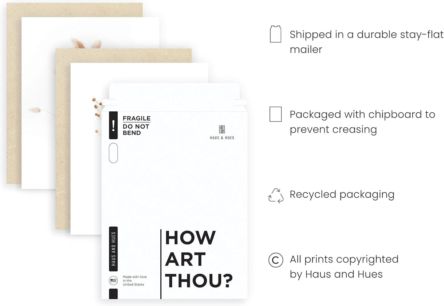 HAUS AND HUES Brown Plant Set of 4-11x14