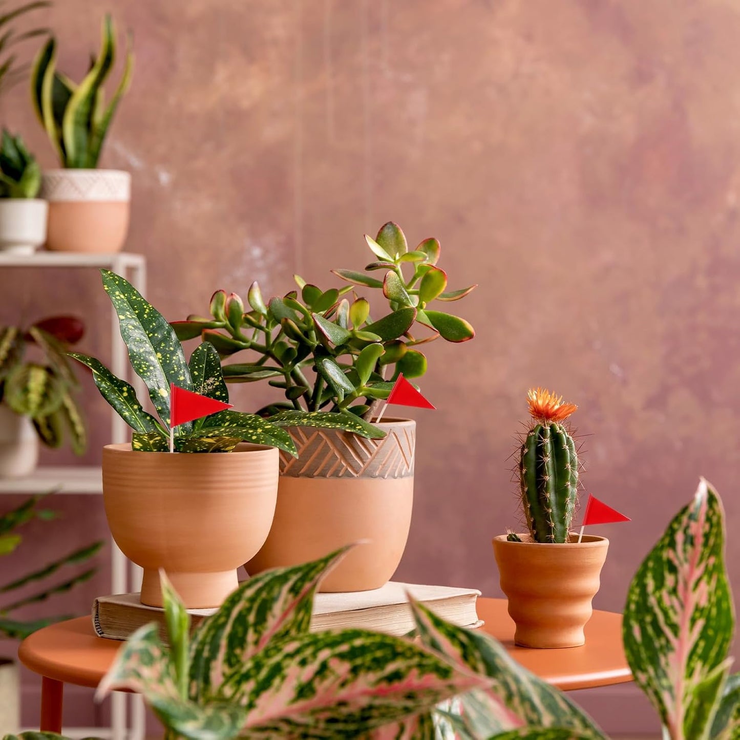 100 Pcs Golf Cupcake Toppers Golf Flag Toothpicks Solid Red Toothpick Flags Small Mini Plain Triangle Cupcake Toppers Flags Fruit Cheese Markers For Wedding Party Buffet Appetizers Diy Decoration