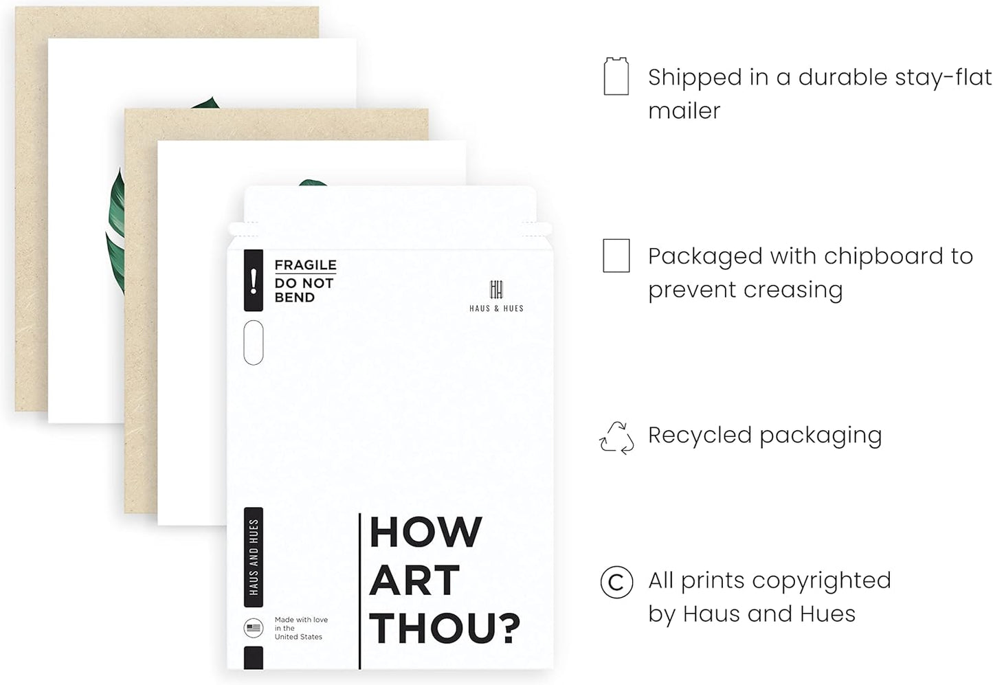 HAUS AND HUES Plant Wall Art - Botanical Prints, Green Wall Art Collection Set, Plant Pictures, Leaves Paintings (11x14, UNFRAMED)