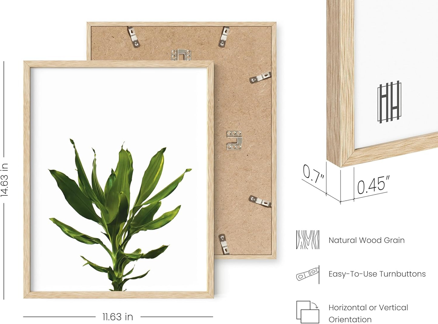 HAUS AND HUES Plant Wall Art - Set of 4 Green Plant Pictures Collection, Botanical Prints, Sage Green Leaves Paintings, Minimalist Wall Decor (11x14, Beige Frame)