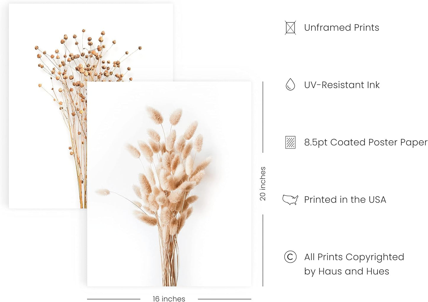 HAUS AND HUES Brown Plant Set of 4-16x20