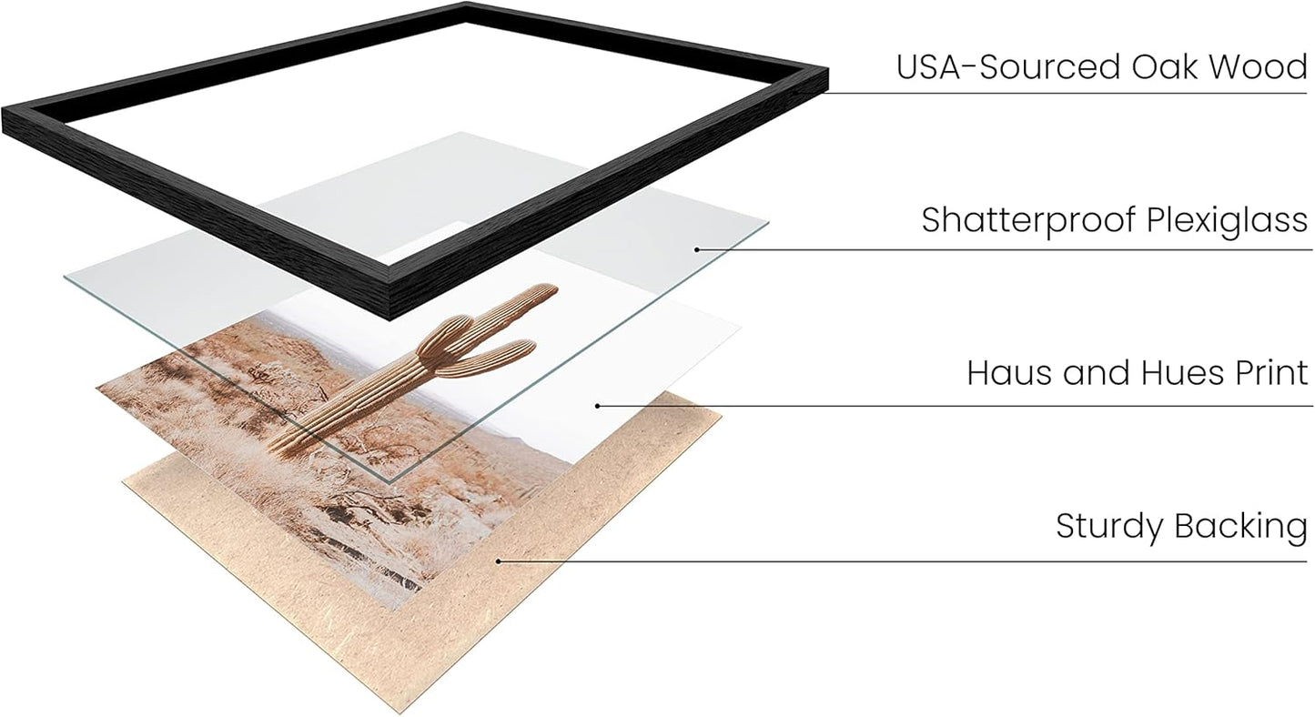 HAUS AND HUES Desert Succulent Wall Art – Set of 6 Botanical Cactus Prints, Cactus and Nature Art Decor, Kitchen Wall Prints (Black Frame, 11x14)