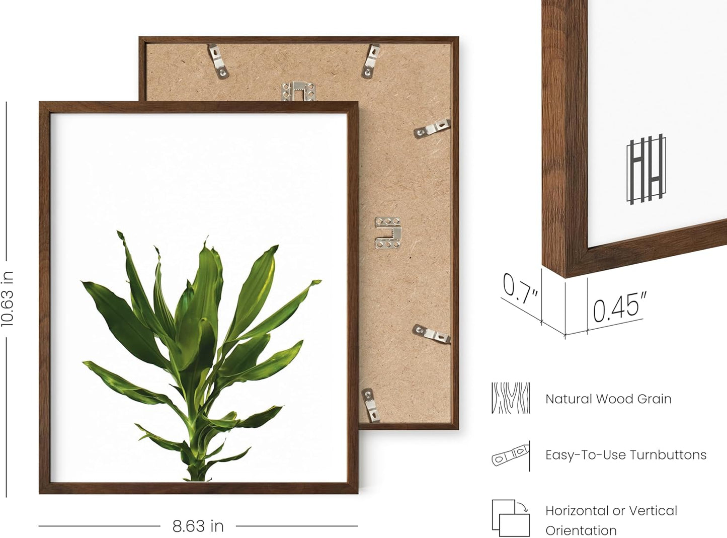 HAUS AND HUES Plant Wall Art - Set of 4 Botanical Prints, Sage Green Leaf Decor, Minimalist Plant Pictures for Wall (Walnut Frame, 8x10)