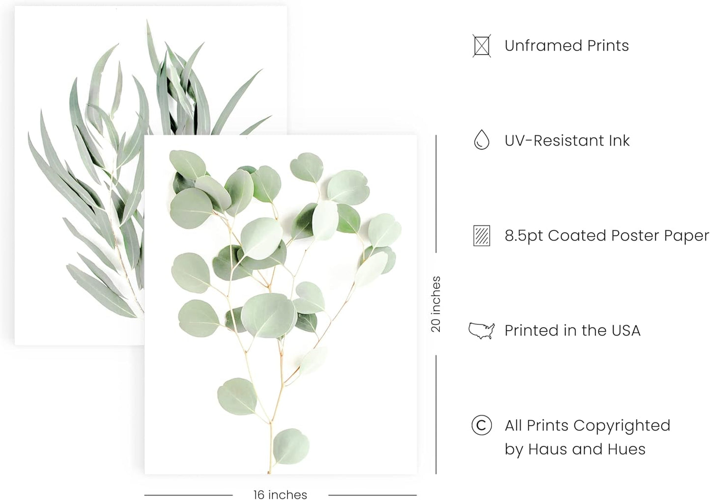 HAUS AND HUES Botanical Plant Wall Art Prints - Set of 4 Plant Wall Decor Prints, Floral Kitchen Plant Pictures, Flower Leaves Wall Art, Boho Leaf Eucalyptus Wall Décor (16x20, Unframed)