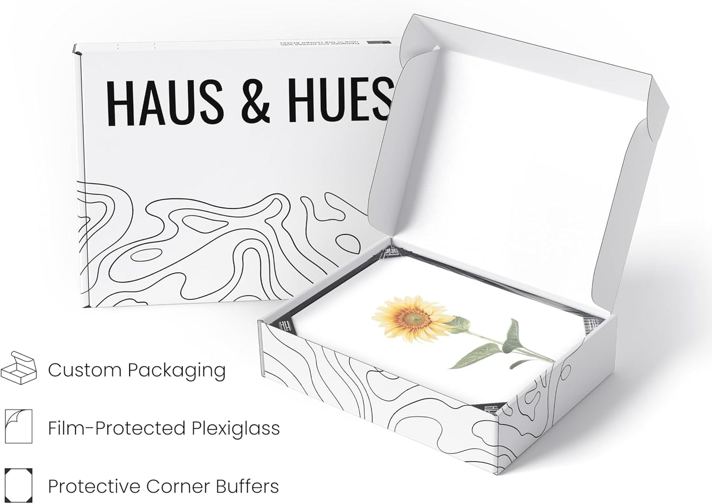 HAUS AND HUES Plant Wall Art - Set of 4 Green Plant Pictures Collection, Botanical Prints, Sage Green Leaves Paintings, Minimalist Wall Décor (11x14, Black Aluminum Frame)