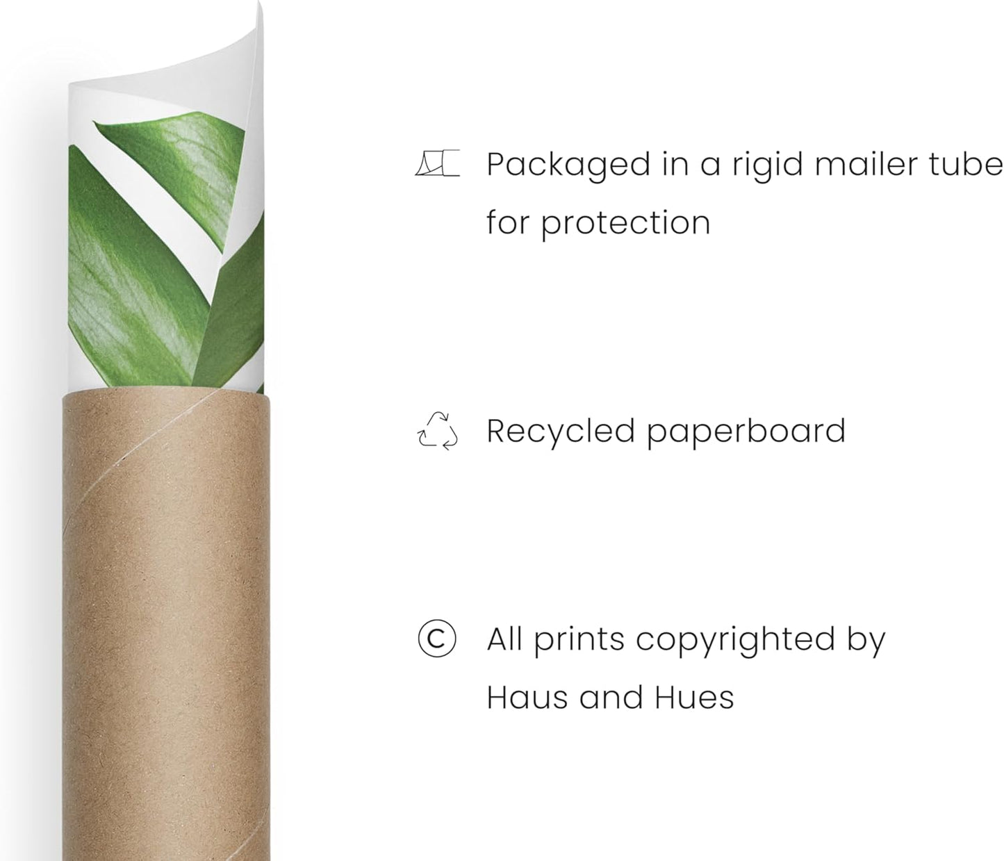 HAUS AND HUES Plant Wall Art - Set of 4 Botanical Prints, Sage Green Leaf Art, Minimalist Plant Pictures for Wall Decor (Unframed, 16x20)