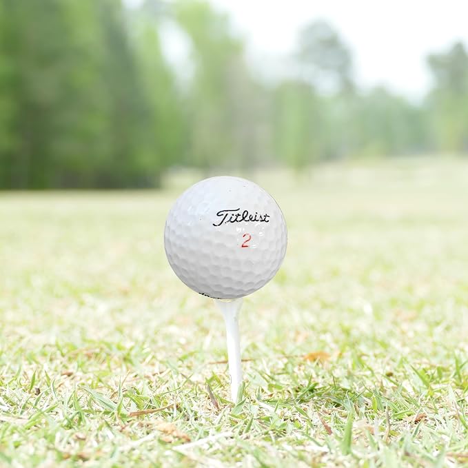 Golf Ball nut - 48 Used Golf Balls – Recycled Premium Brands Assorted Mix - Image 6