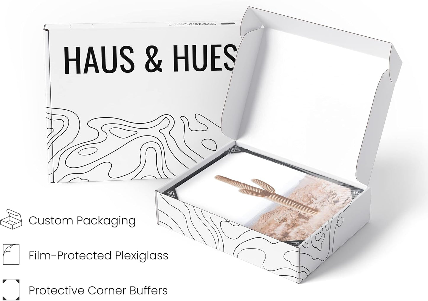 HAUS AND HUES Cactus Set of 6 16x20 - Framed Black