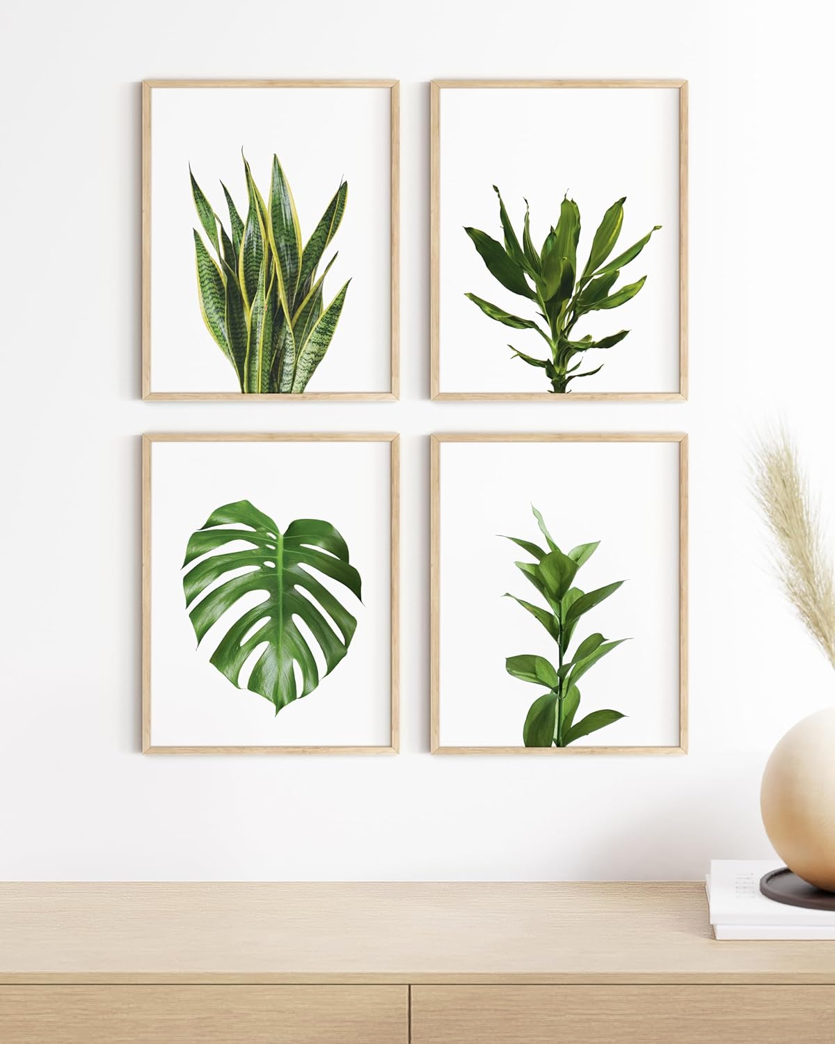 HAUS AND HUES Plant Photo Set of 4-8x10