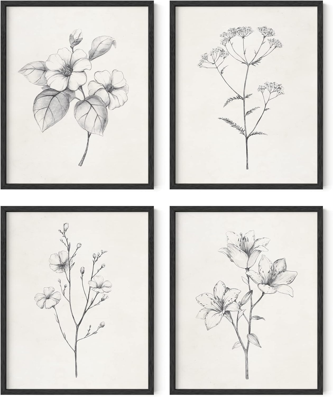 HAUS AND HUES Grey Floral Wall Art - Set of 4 Plant Posters for Wall Vintage, Botanical Prints, Black and White Flower Pictures for Room Aesthetic, Farmhouse Bathroom, Rustic Art (16x20, Unframed)