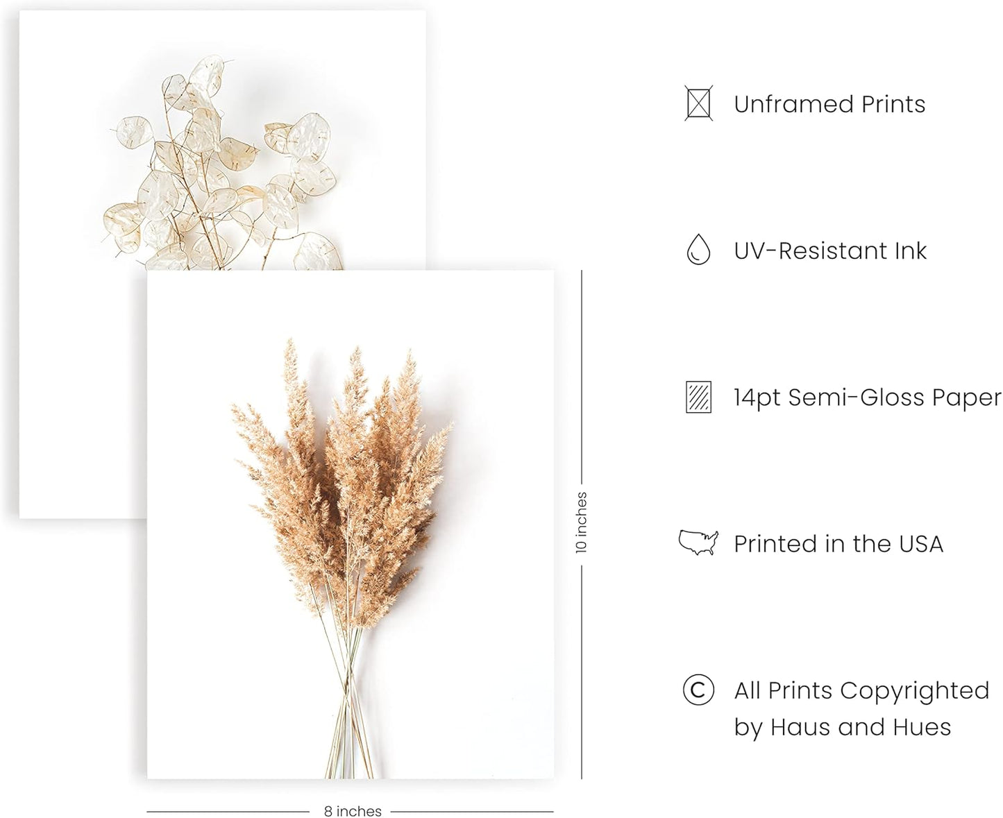 HAUS AND HUES Botanical Prints - Set of 4 Floral Posters, Wall Decor, Unframed 8x10