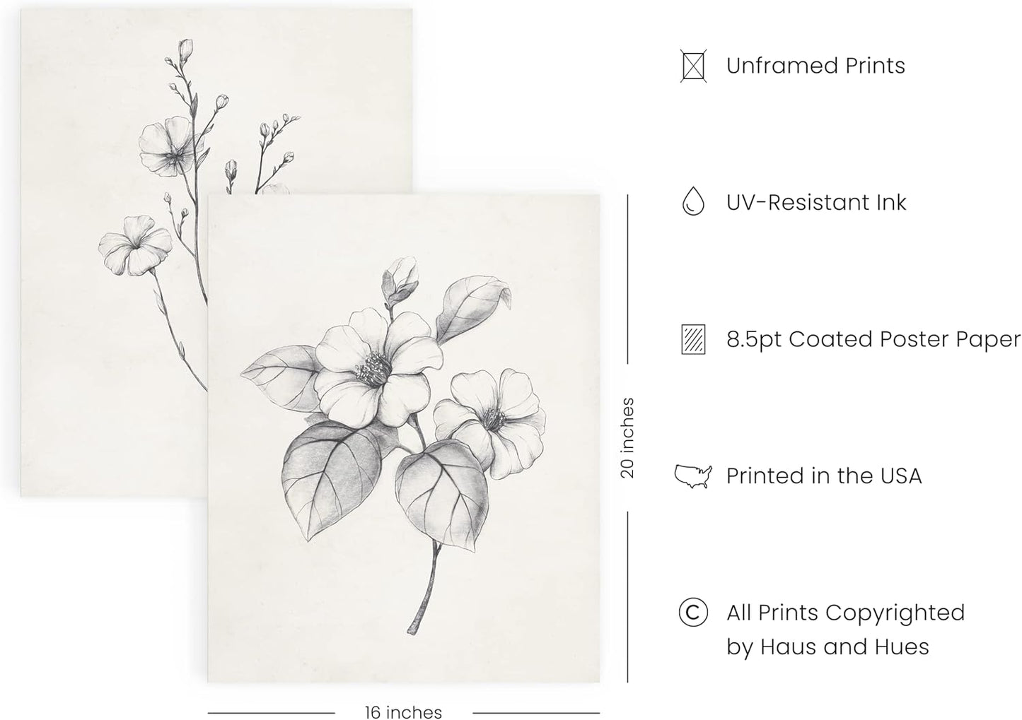 HAUS AND HUES Grey Floral Wall Art - Set of 4 Plant Posters for Wall Vintage, Botanical Prints, Black and White Flower Pictures for Room Aesthetic, Farmhouse Bathroom, Rustic Art (16x20, Unframed)