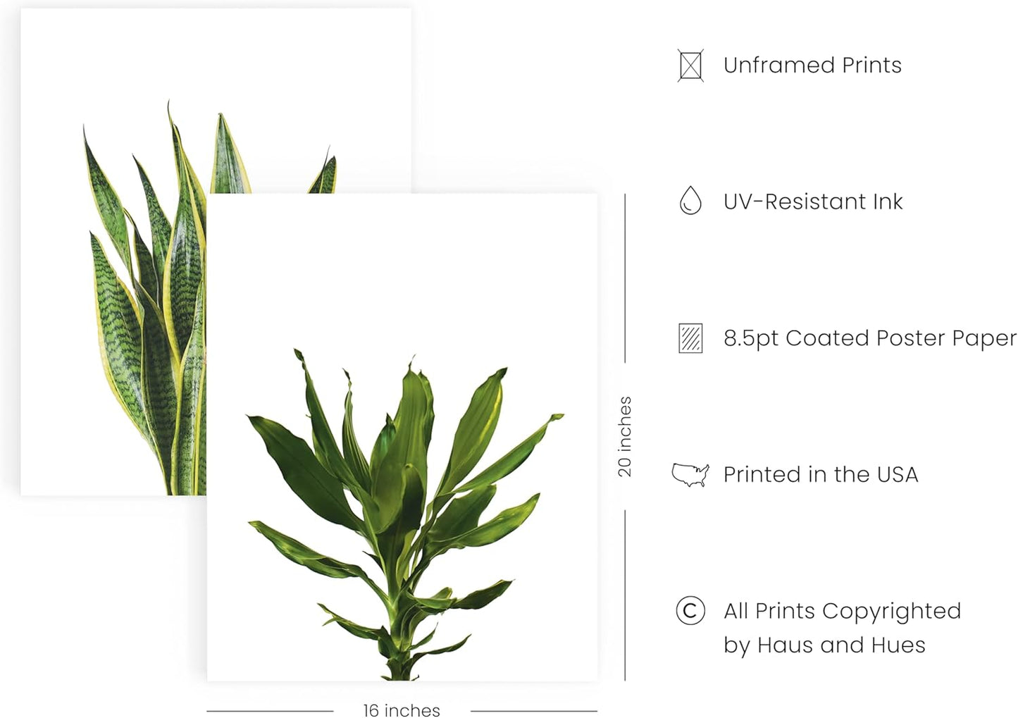 HAUS AND HUES Plant Wall Art - Set of 4 Botanical Prints, Sage Green Leaf Art, Minimalist Plant Pictures for Wall Decor (Unframed, 16x20)