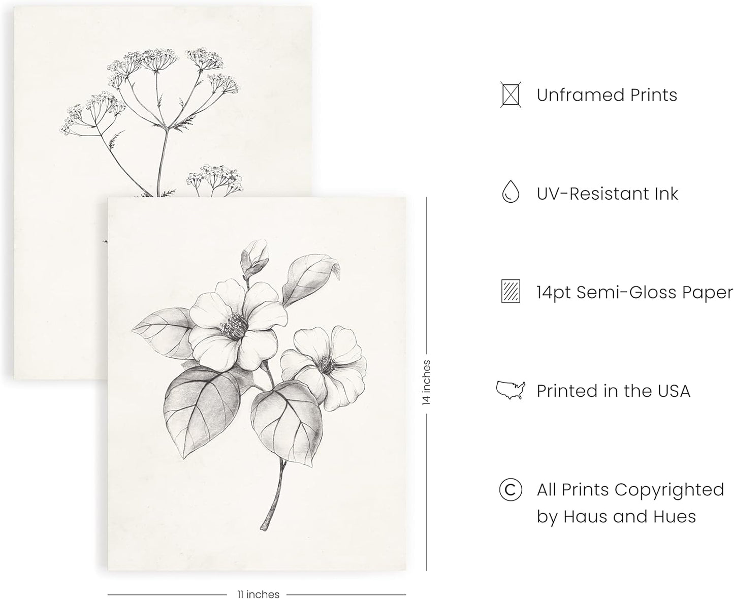 HAUS AND HUES Grey Floral Wall Art - Set of 4 Plant Posters for Wall Vintage, Botanical Prints, Black and White Flower Pictures for Room Aesthetic, Farmhouse Bathroom, Rustic Art (11x14, UNFRAMED)