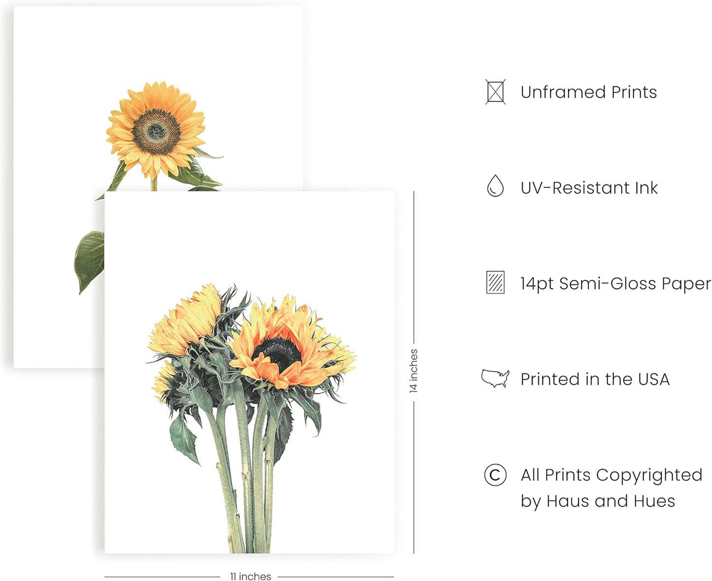 HAUS AND HUES Sunflower Wall Decor - Set of 4 Sunflower Posters, Bedroom and Kitchen Decor, Yellow Wall Art, Flower Pictures (11"x14", Unframed)