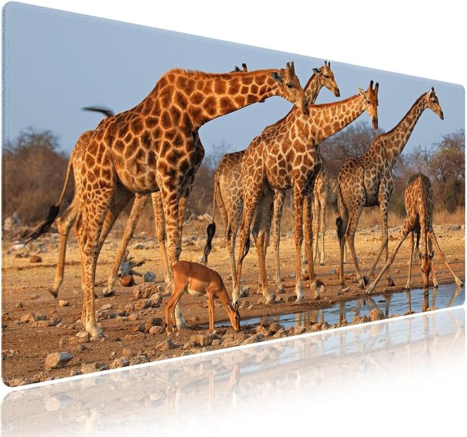 Wknoon. Extra Large Gaming & Office Mouse Pad – A Group of South African by Wknoon