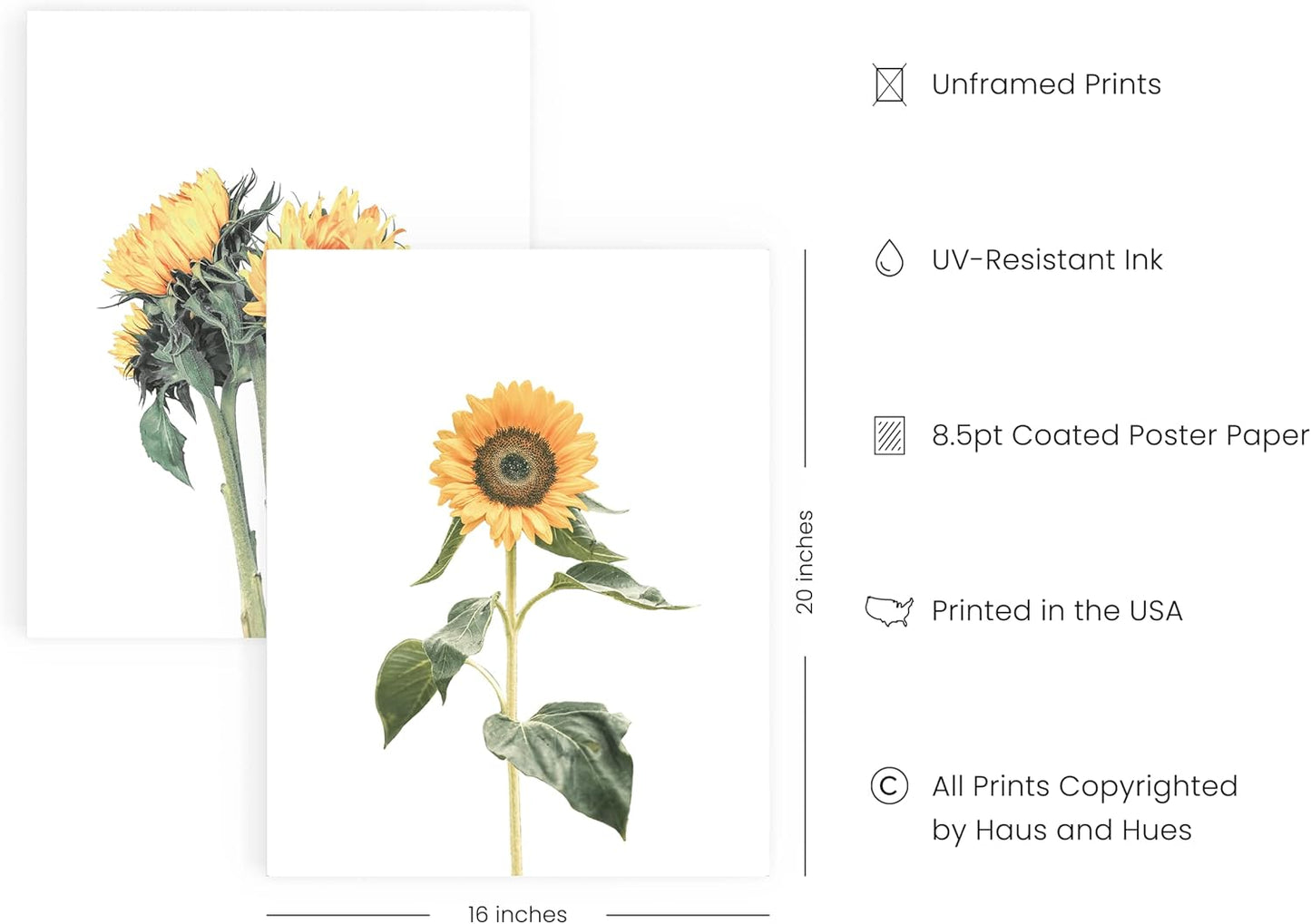 HAUS AND HUES Sunflower Set Collage 16x20