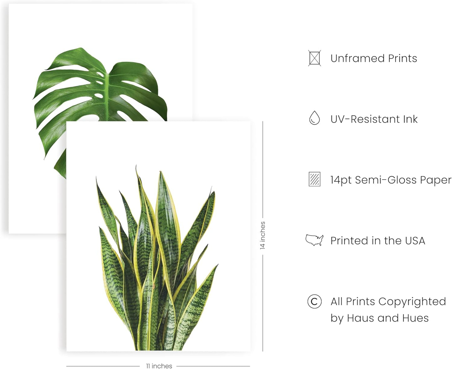 HAUS AND HUES Plant Photo Set of 4-11x14