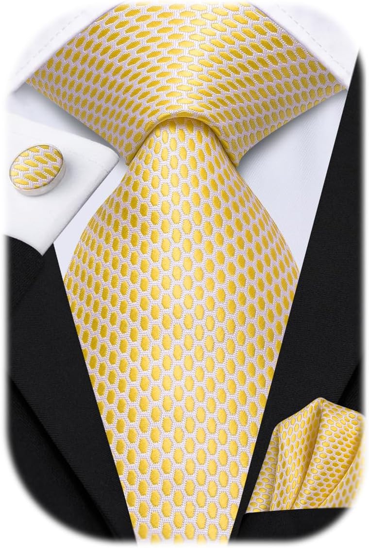 Hi-Tie Men 63inches Tie Set Extra Long Necktie Paisley Tie Pocket Suqare Cufflinks Big and Tall Men Tie