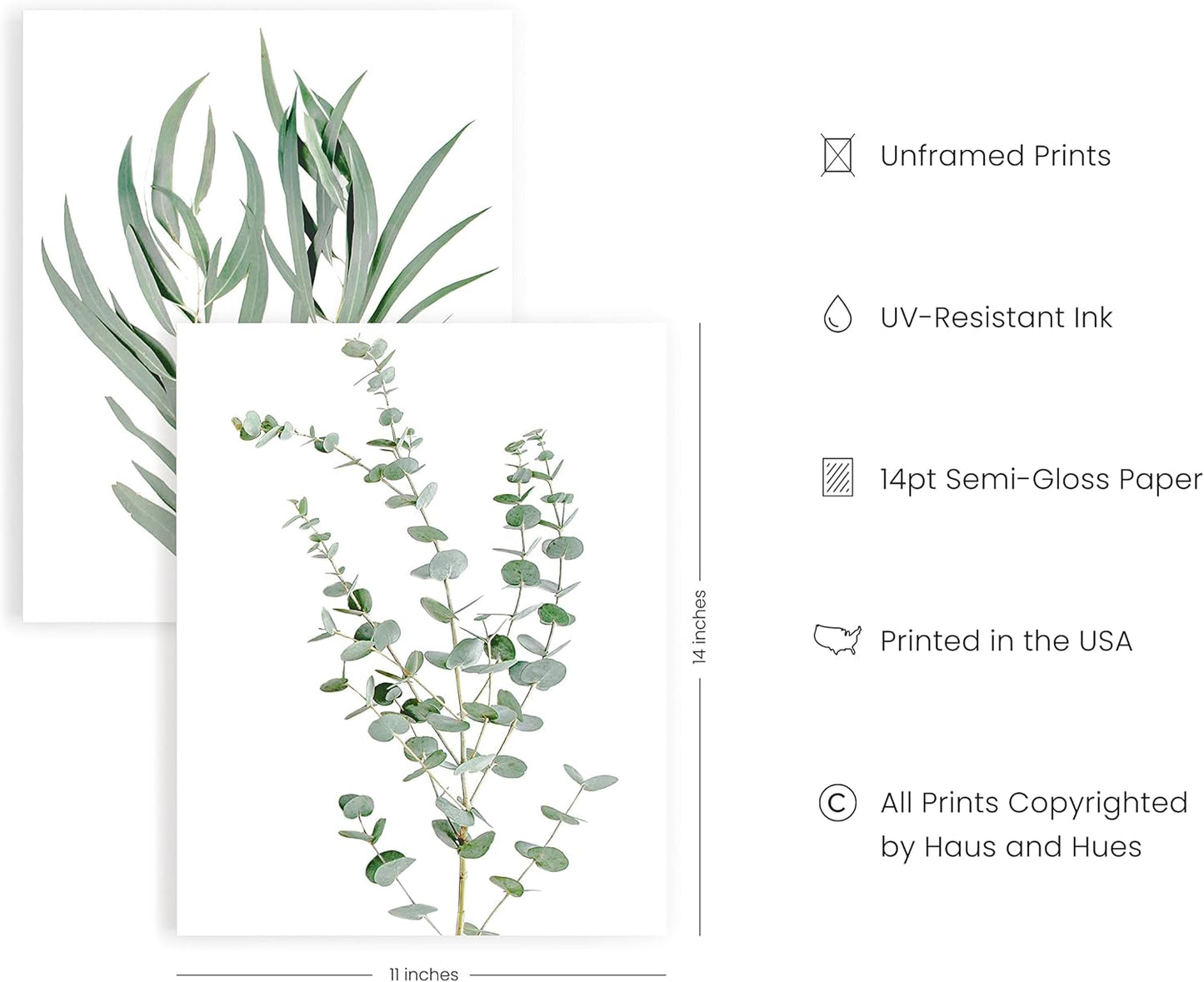 HAUS AND HUES Botanical Plant Wall Art Prints - Set of 4 Plant Wall Decor Prints Floral Kitchen Flower Leaves Wall Art Boho Leaf Eucalyptus (11x14, UNFRAMED)