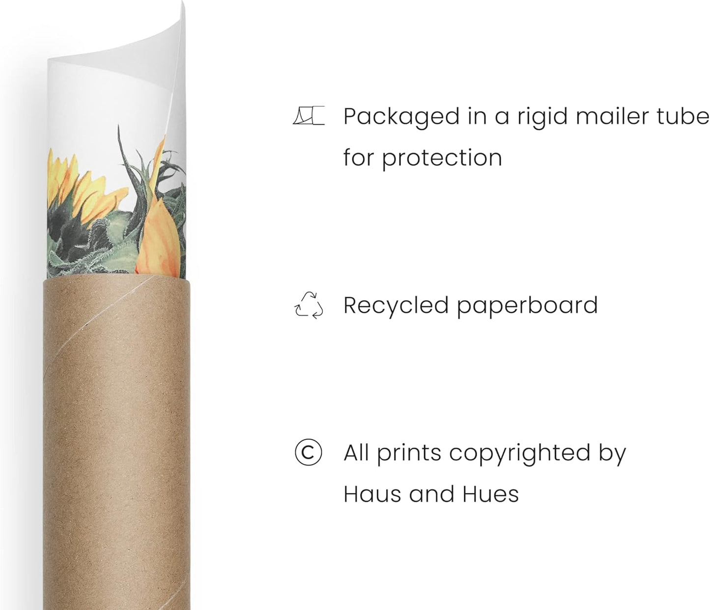 HAUS AND HUES Sunflower Set Collage 16x20