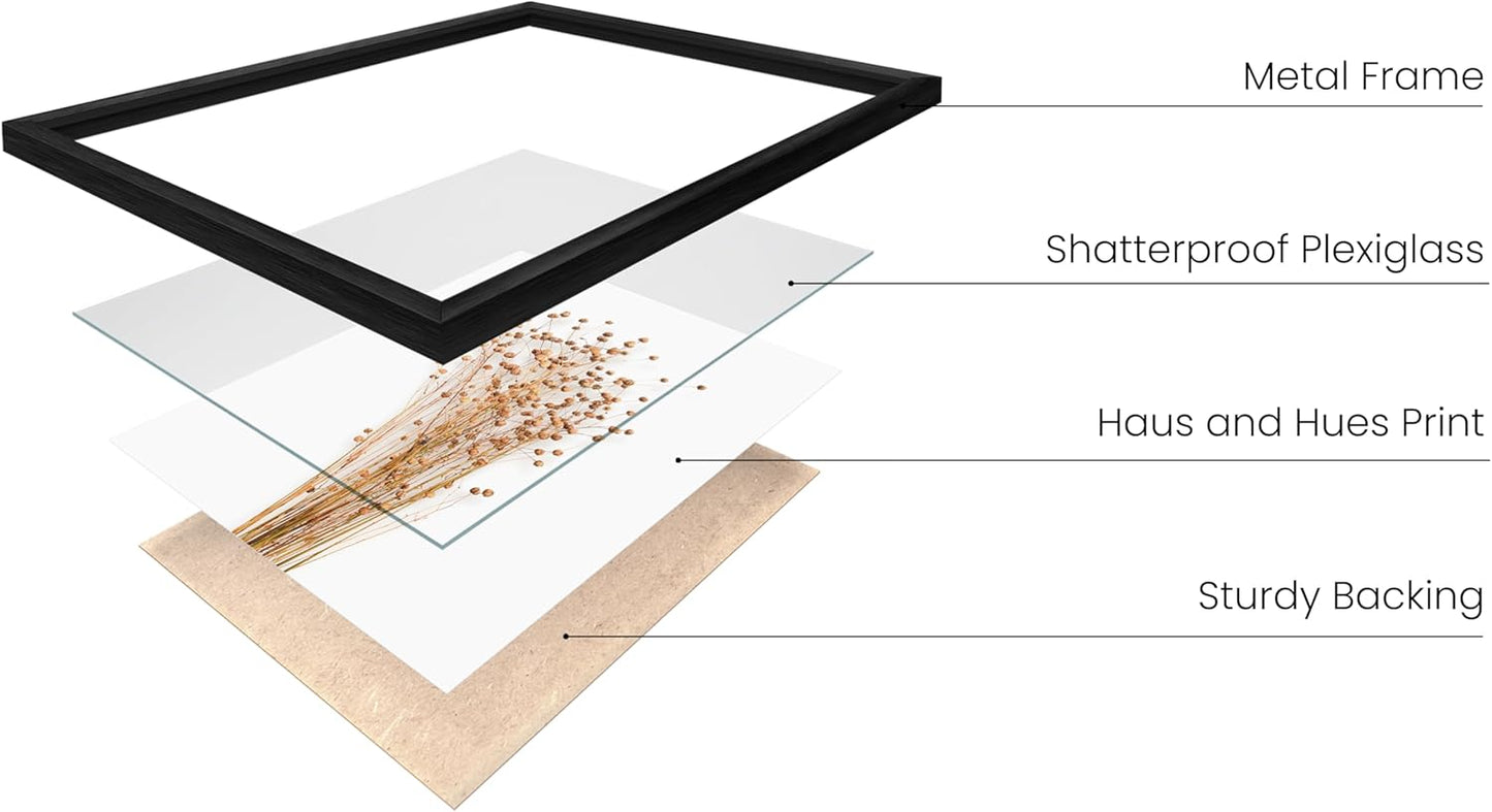 HAUS AND HUES Flower Wall Decor - Set of 4 Floral Wall Art Painting, Botanical Wall Decor, Botanical Wall Art, Floral Pictures, Flower Pictures (Black Aluminum Frame, 11x14)