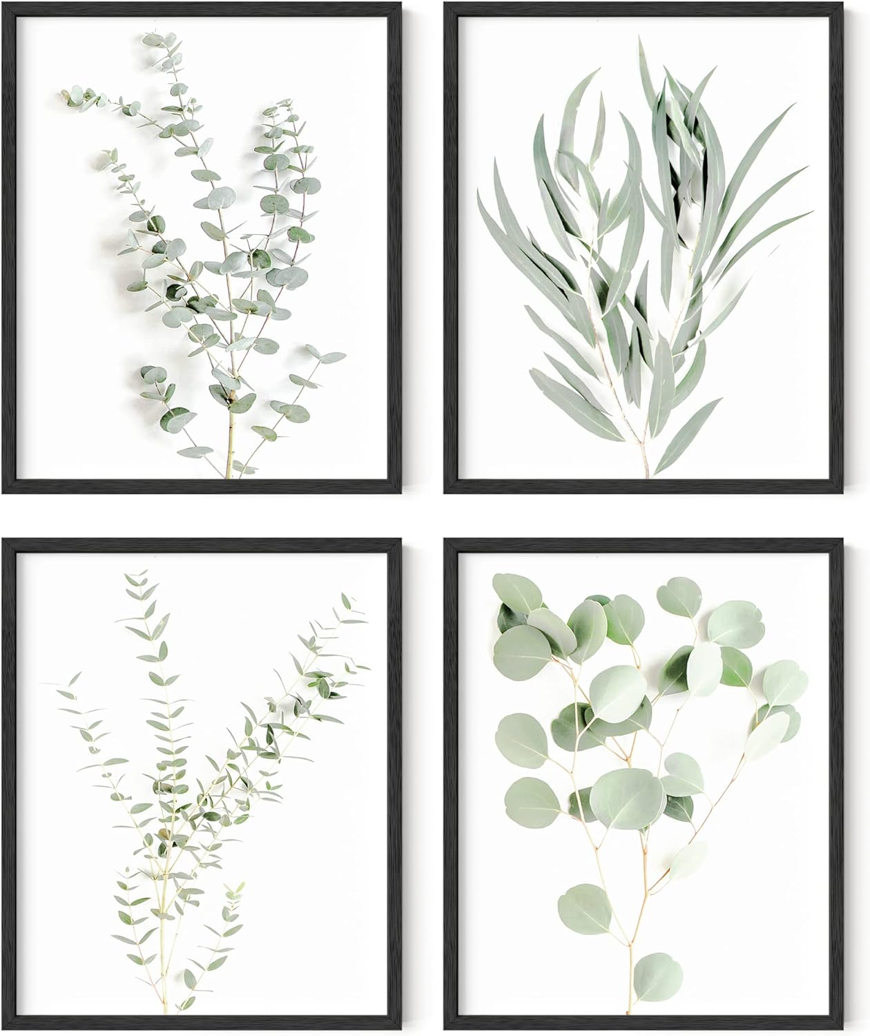 HAUS AND HUES Botanical Plant Wall Art Prints - Set of 4 Plant Wall Decor Prints, Floral Kitchen Plant Pictures, Flower Leaves Wall Art, Boho Leaf Eucalyptus Wall Décor (16x20, Unframed)