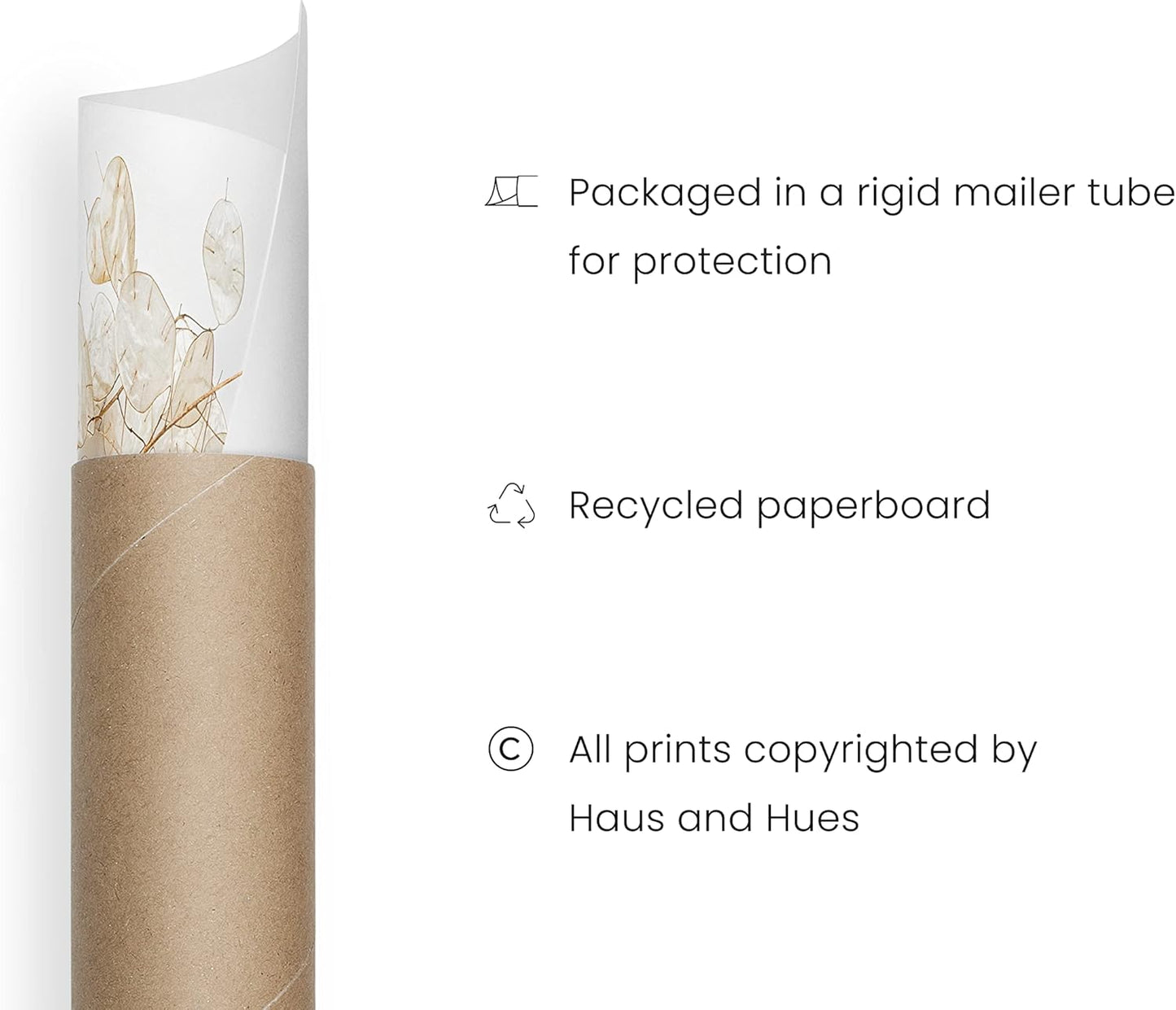 HAUS AND HUES Brown Plant Set of 4-16x20