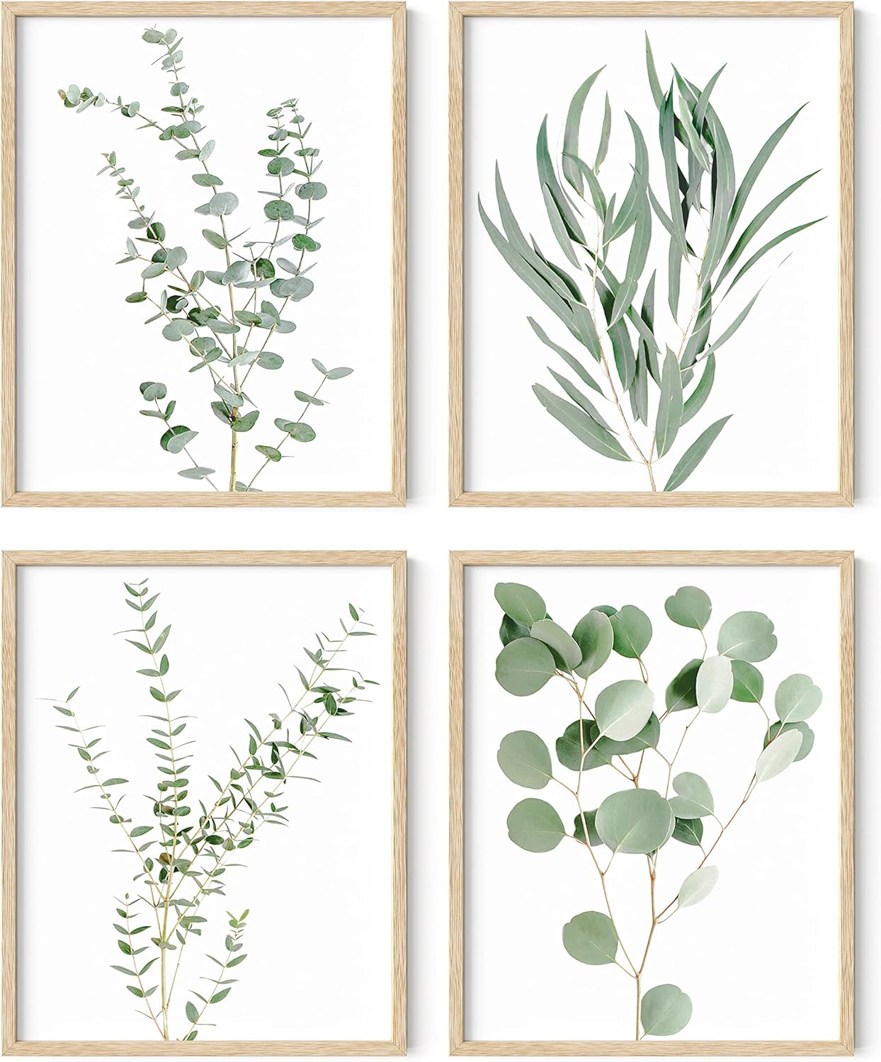 HAUS AND HUES Botanical Plant Wall Art - Set of 4 Prints, Floral Kitchen Decor, Boho Leaf Eucalyptus Wall Art, Green Botanical Poster (Beige Frame, 11x14)