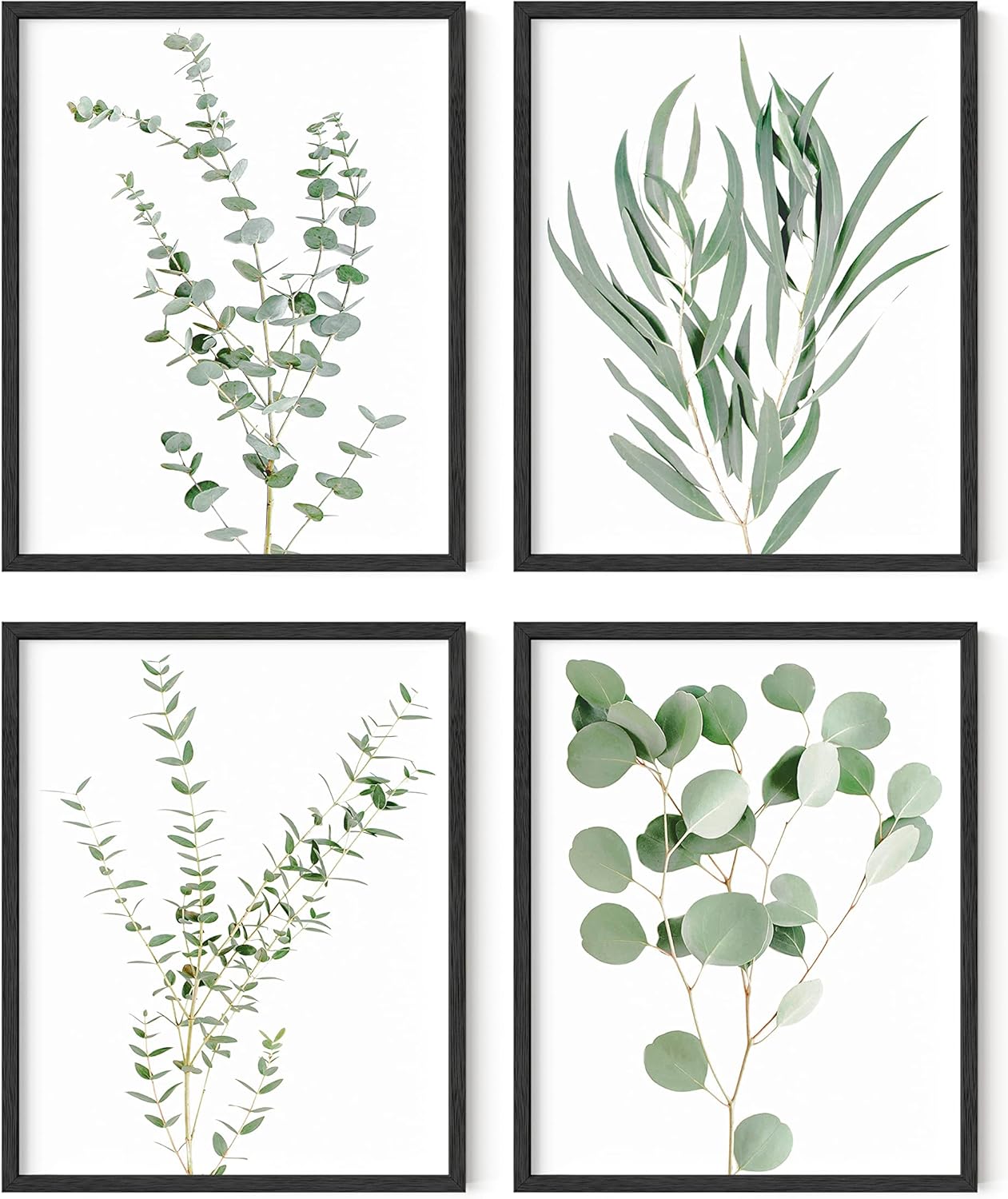 HAUS AND HUES Botanical Plant Wall Art Prints - Set of 4 Plant Decor Prints, Floral Kitchen Pictures, Flower Leaves Wall Art, Boho Leaf Eucalyptus Wall Décor (8x10, UNFRAMED)
