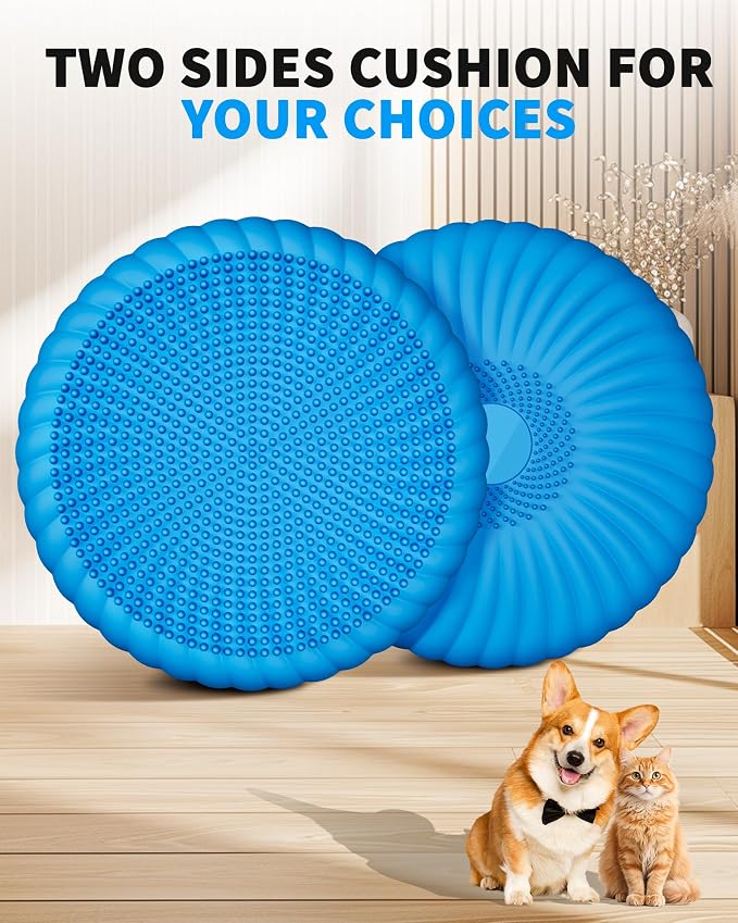 Wobble Cushion with Inflation Pump - Image 3