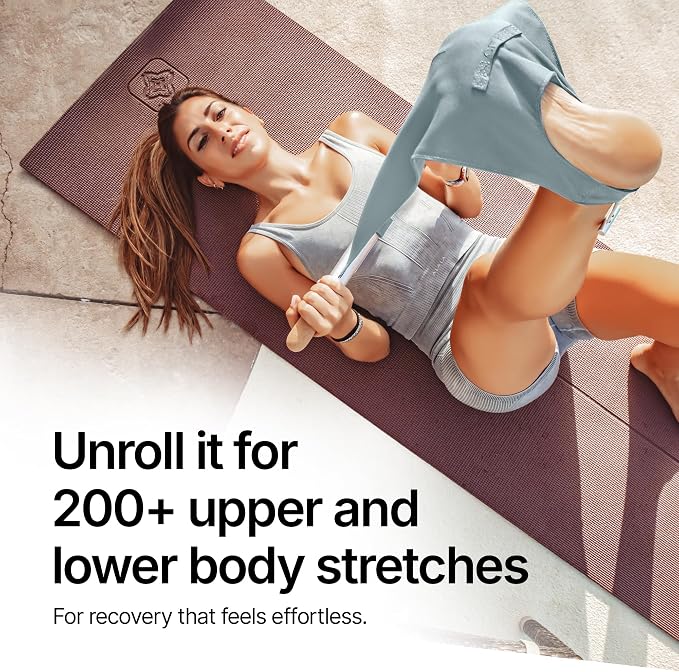 CastleFlexx Mobility and Full Body Strengthening Device - Image 3