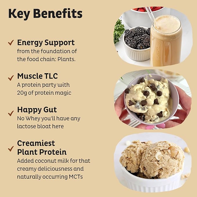 KOS Plant Based Protein Powder, Vanilla USDA Organic - Image 3