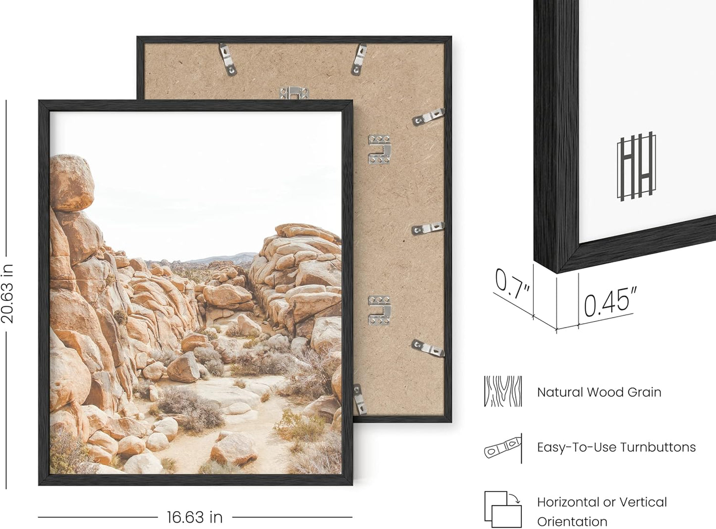 HAUS AND HUES Cactus Set of 6 16x20 - Framed Black