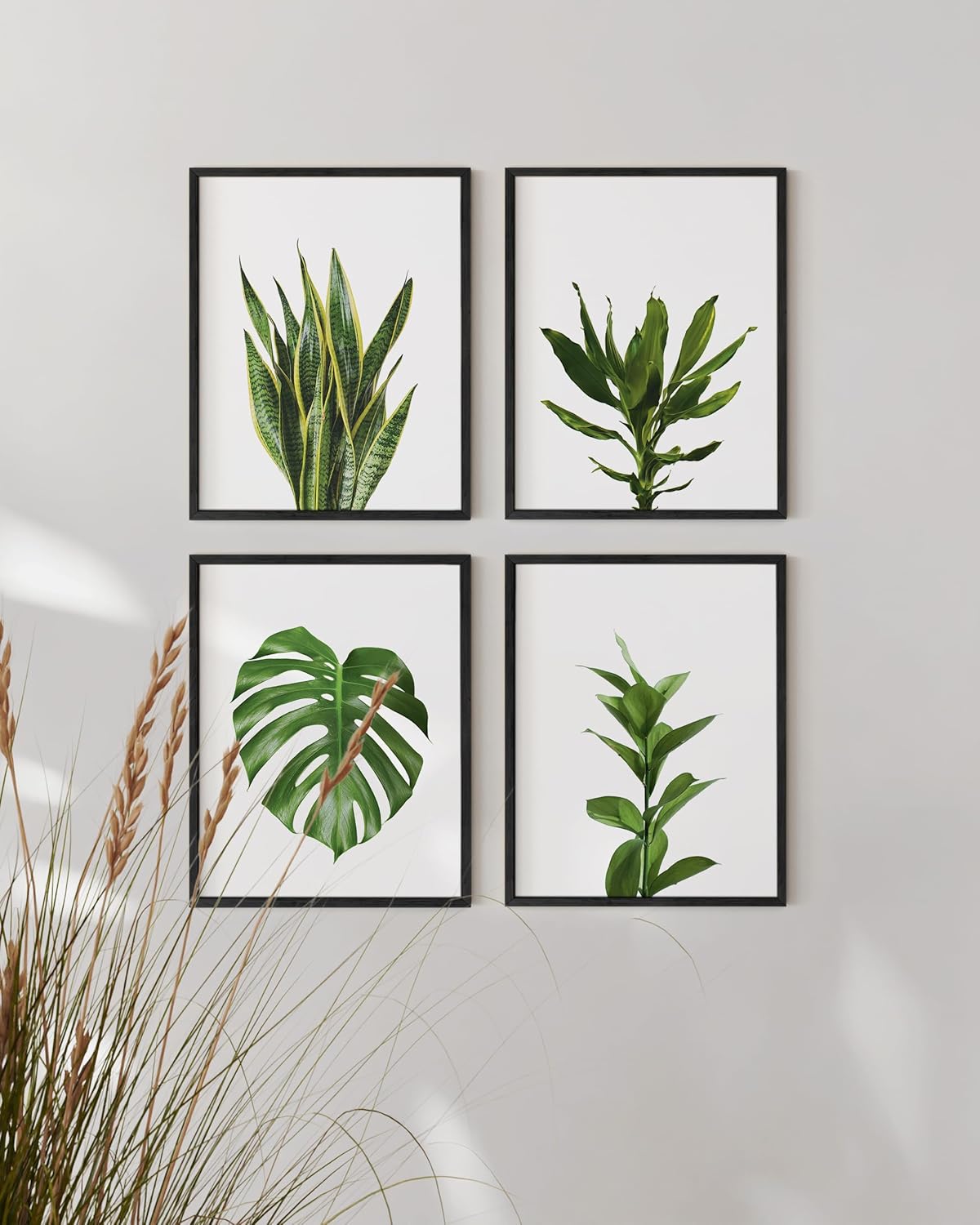 HAUS AND HUES Plant Wall Art - Set of 4 Green Plant Pictures Collection, Botanical Prints, Sage Green Leaves Paintings, Minimalist Wall Decor (11x14, Black Frame)