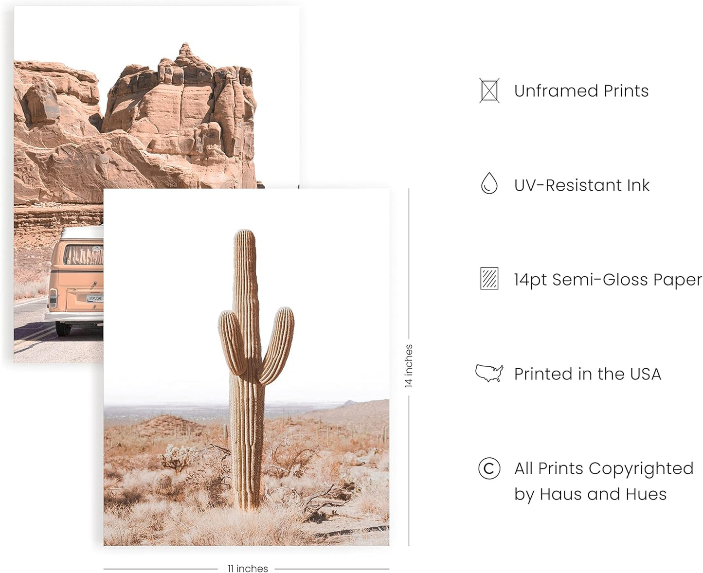 HAUS AND HUES Desert Succulent Wall Art - Set of 6 Botanical Prints, Southwestern Wall Decor, Cactus Posters, Joshua Tree Wall Art UNFRAMED (11x14)