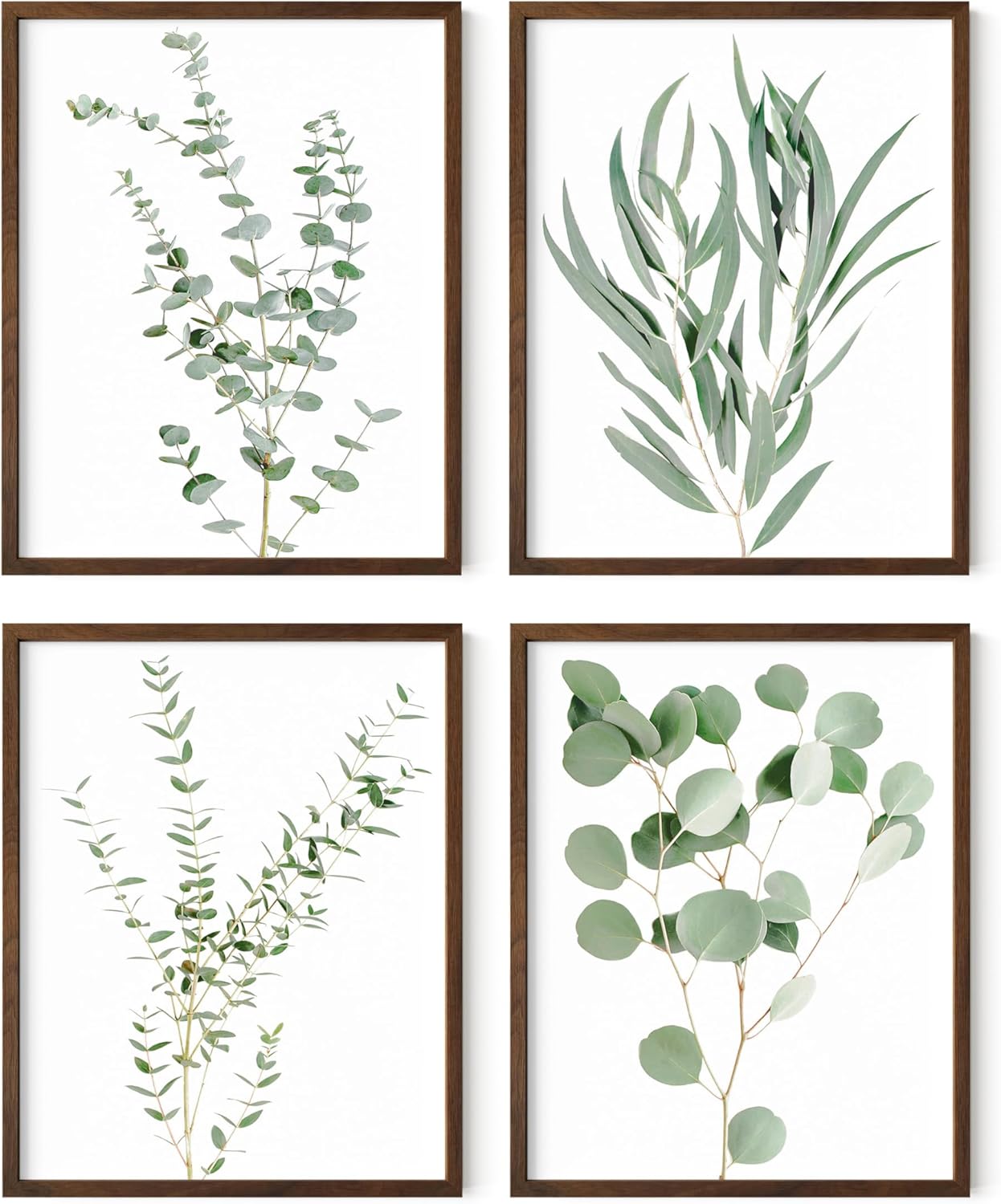 Haus and Hues Botanical Plant Wall Art Prints - Set of 4 Plant Wall Decor Prints Floral Kitchen Flower Leaves Wall Art Boho Leaf Eucalyptus Wall Decor Green Botanical Poster Set (11x14, Walnut Framed)